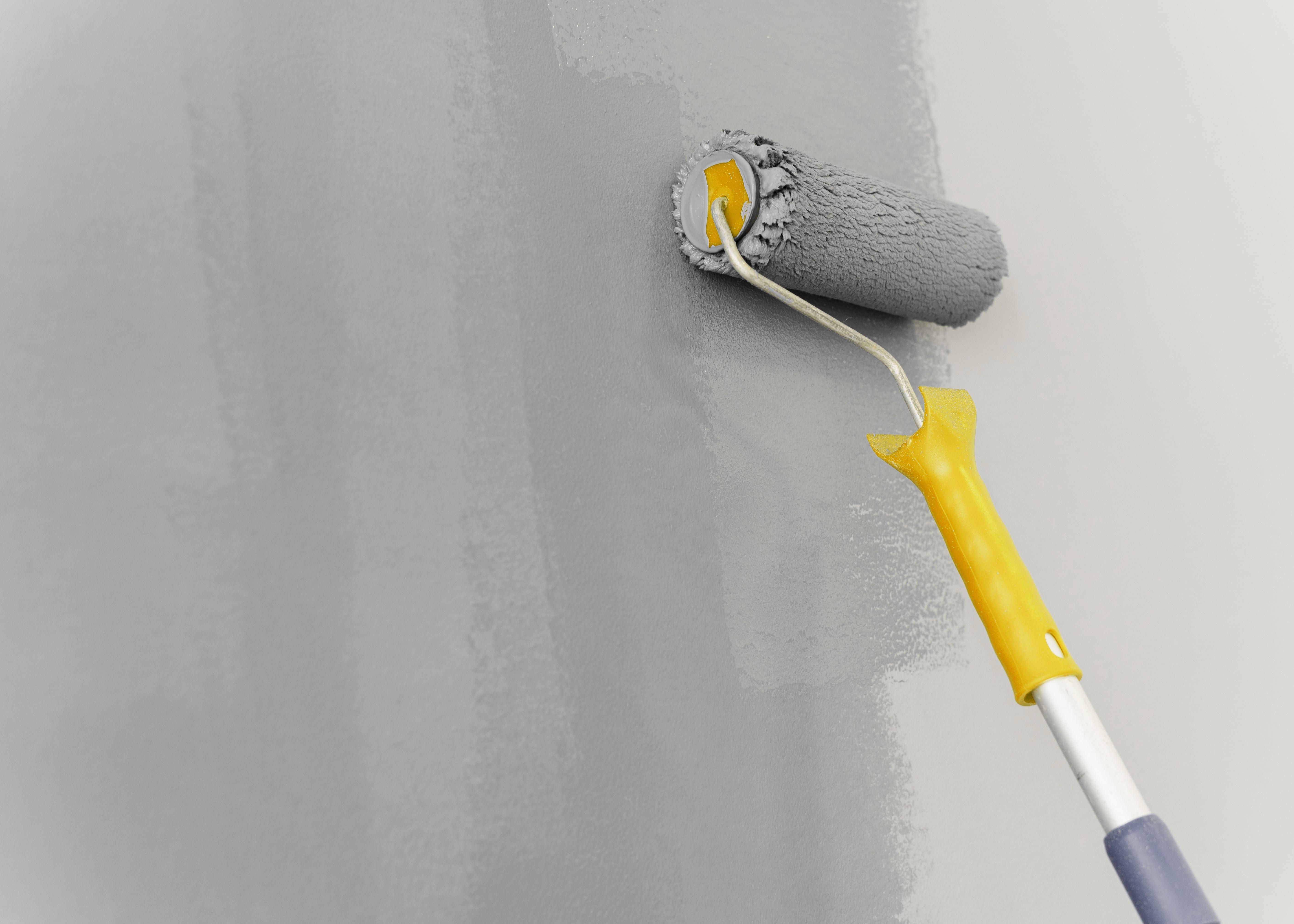 Wall Paints